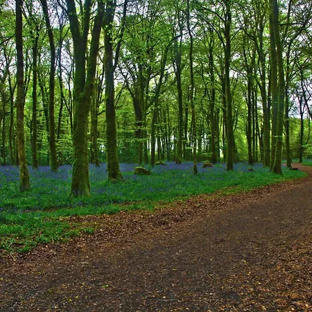 Casa vacanze Way Virginia