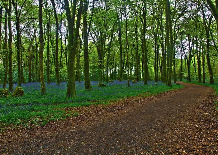 Feriehus Way Virginia